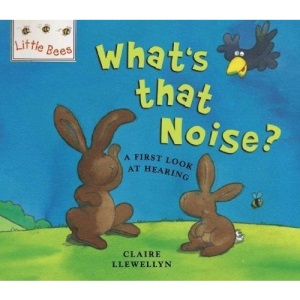What's That Noise?: A First Look at Sound and Hearing (Little Bees)