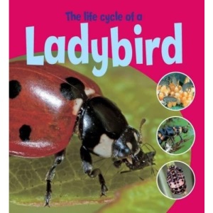 The Life Cycle of a Ladybird (Learning About Life Cycles)