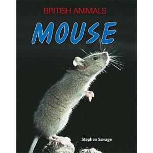 Mouse (British Animals)