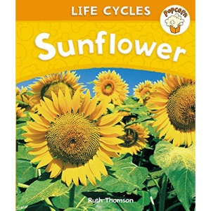 Sunflower (Popcorn: Life Cycles)