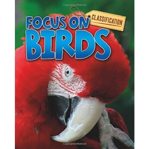 Classification: Focus on: Birds
