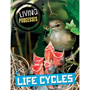 Living Processes: Life Cycles