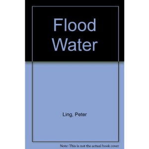 Flood Water
