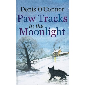 Paw Tracks in the Moonlight