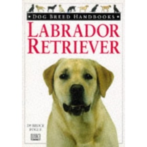 LABRADOR RETRIEVER.