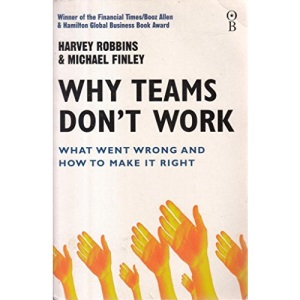 Why Teams Don't Work (Tpb Expo