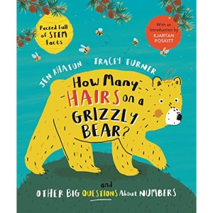 How Many Hairs on a Grizzly Bear?: And Other Big Questions about Numbers (How Many... Kingfisher maths)