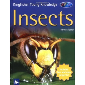 Insects (Kingfisher Young Knowledge)