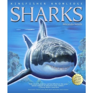 Sharks (Kingfisher Knowledge)