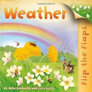 Weather (Flip the Flaps)