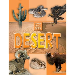 What Can I See?: Desert