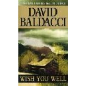 Wish You Well (Paragon Softcover Large Print Books)