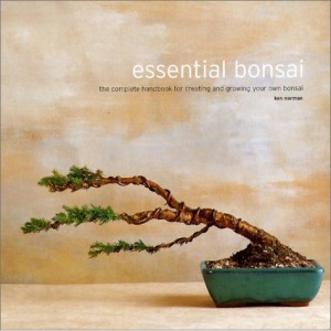 The Bonsai