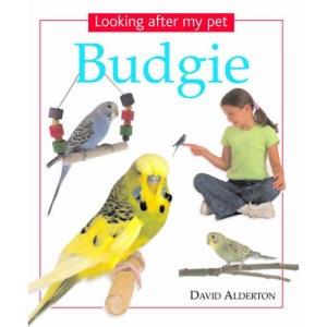 Looking After My Pet Budgie