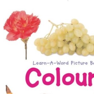 Colours (Learn-a-word Picture Board Books)
