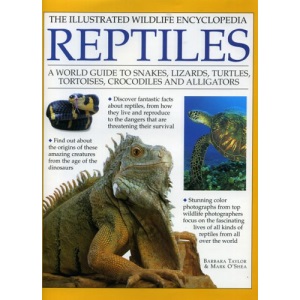 Reptiles (Illustrated Wildlife Encyclopedia)