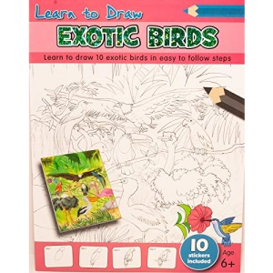 Learn to Draw - Exotic Birds (A4 Learn to Draw)