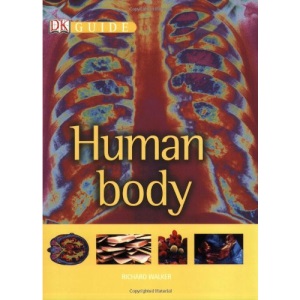 Human Body (DK Guides)
