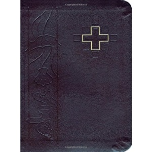 Pastoral Care Companion