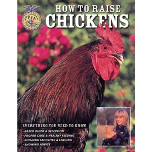 How to Raise Chickens (Everything You Need to Know) (Everything You Need to Know) (Everything You Need to Know)