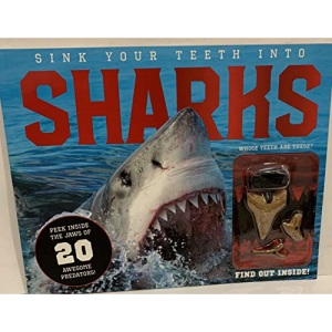 Sink Your Teeth Into Sharks: Peek Inside the Jaws