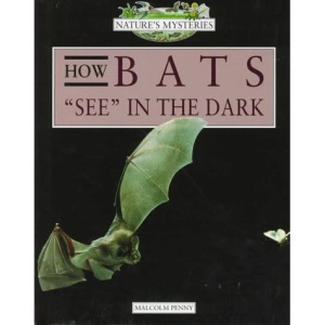 Nature's Mysteries: How Bats See in the Dark