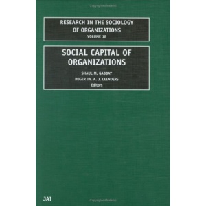 Social Capital of Organizations: 18 (Research in the Sociology of Organizations)