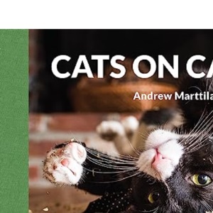 Cats on Catnip: 20 Postcards