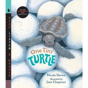 One Tiny Turtle (Read, Listen, & Wonder)