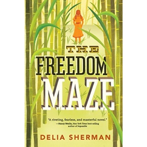 The Freedom Maze