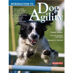 Introduction to Dog Agility