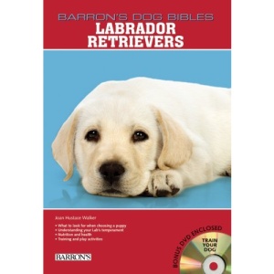Labrador Retrievers (Barron's Dog Bibles)