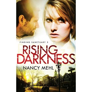Rising Darkness (Finding Sanctuary): 3