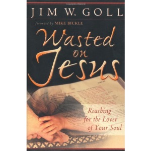 Wasted on Jesus: Reaching for the Lover of Your Soul