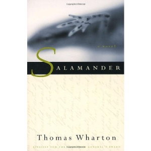 Salamander