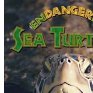 Endangered Sea Turtles (Earth's Endangered Animals)