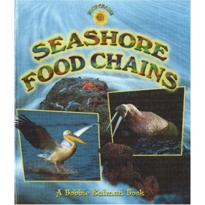 Seashore Food Chains