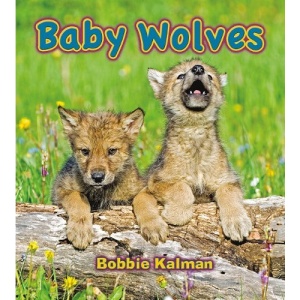 Baby Wolves (It's Fun to Learn About Baby Animals)
