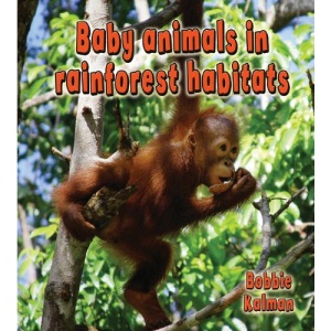 Baby Animals in Rainforest Habitats (Habitats of Baby Animals (Paperback))