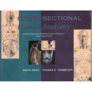 Cross-Sectional Human Anatomy