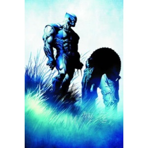 Wolverine: Origins & Endings Premiere HC