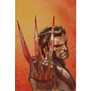 Wolverine Weapon X Volume 1: Adamantium Men TPB (Wolverine (Marvel) (Quality Paper))