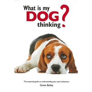 What Is My Dog Thinking?: The Essential Guide to Understanding Your Pet's Behavior