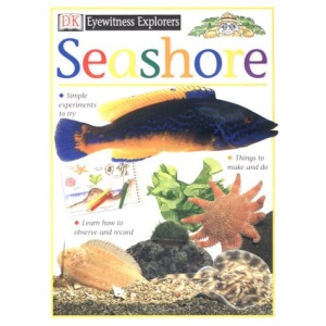 Seashore (DK Eyewitness Explorers)