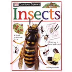 Insects (DK Eyewitness Explorers)