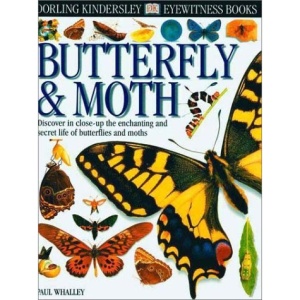 Butterfly & Moth (DK Eyewitness Books)