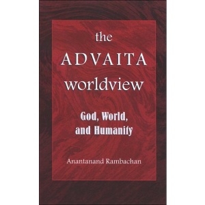 The Advaita Worldview (SUNY Series in Religious Studies)