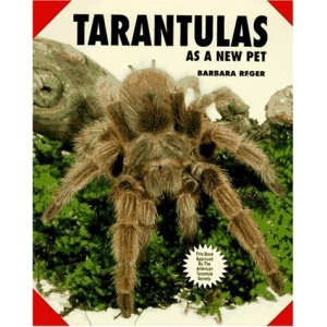 Tarantulas as a New Pet