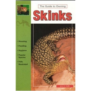 A Guide to Owning Skinks