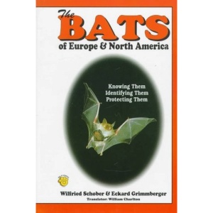 The Bats of Europe and North America